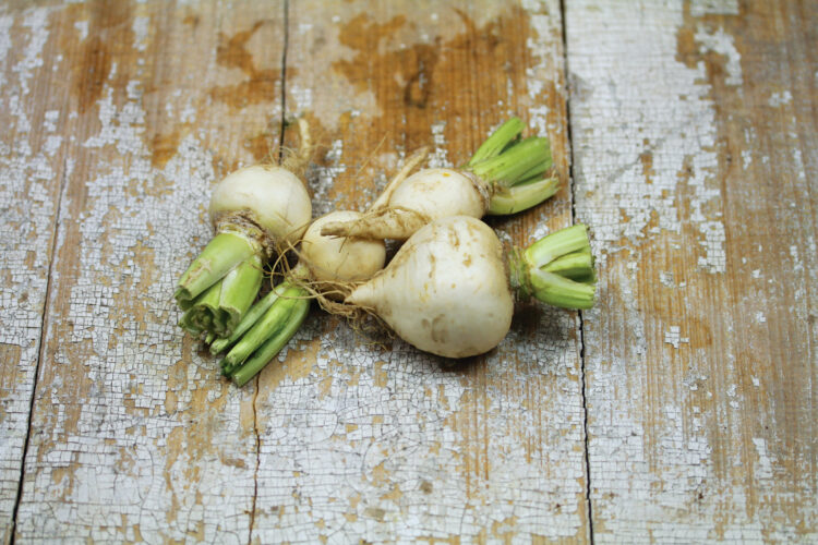 Growing Turnips for a Comeback